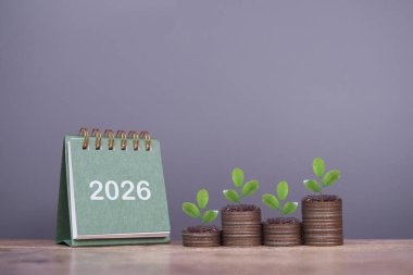 2026 masa takvimi ve madeni paraların üzerinde büyüyen bitkiler. İş büyümesi, Finansal yatırım, piyasa hisseleri, kar iadesi, 2026 yılında bölünmüş ve iş fonu kavramı