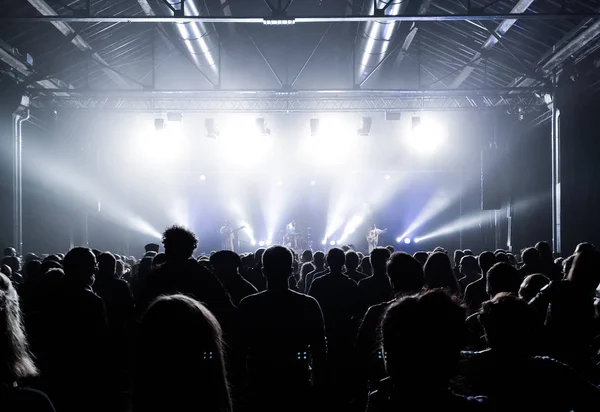 Audiencia Espectáculo Música Vivo Imágenes de stock libres de derechos