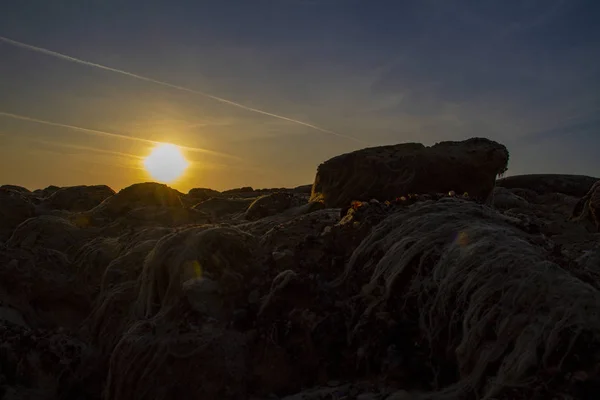 Bize şafak verir boyalar