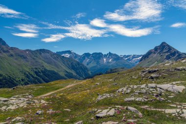 Bernina Geçidi 'ndeki Alpler Zinciri' nin Panorama 'sı küçük dağ çiçekleriyle boyanmış çayır ile.