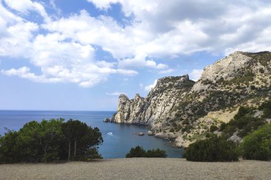 Eski bir ardıç ağacı. Temmuz. Eski dünya