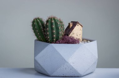 Mikroiklim, başarı. Kaktüsler, stabilize yosun ve seramik ev bir kopyası ile Çimento gri pot