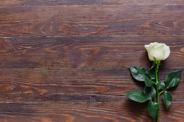 Beyaz kahverengi eski ahşap bir masa üzerinde yükseldi. Metin veya etiketi için alan