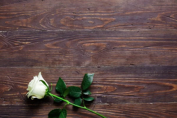 Bílá Růže Dřevěné Tmavé Pozadí Místem Pro Textové — Stock fotografie