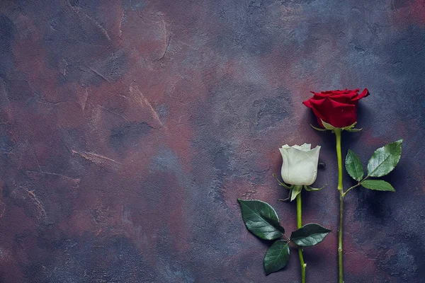 Rosas Sobre Una Superficie Piedra Con Espacio Para Texto —  Fotos de Stock