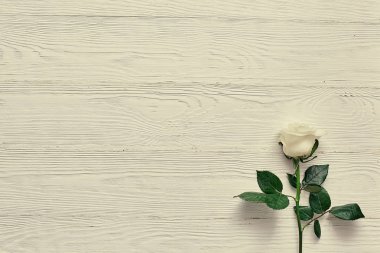 Güzel beyaz çiçek ışık ahşap zemin üzerinde. Alan etiketleri için