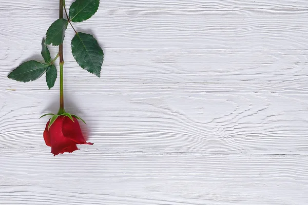 Rosa Vermelha Topo Mesa Madeira Minimalismo Espaço Para Texto Saudação — Fotografia de Stock