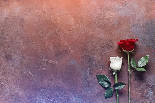 Dvě Růže Leží Kamenné Desce — Stock fotografie