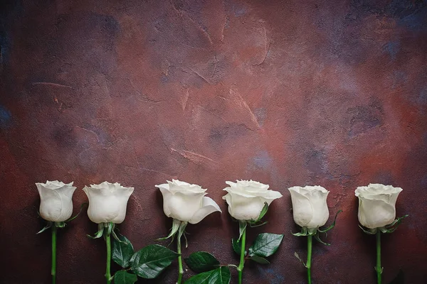 Six Roses Blanches Sur Beau Fond Pierre Espace Pour Étiquettes — Photo