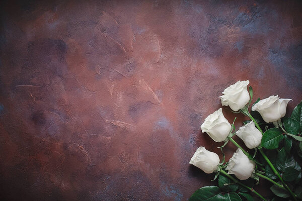 Six Roses Blanches Sur Beau Fond Pierre Espace Pour Étiquettes — Photo