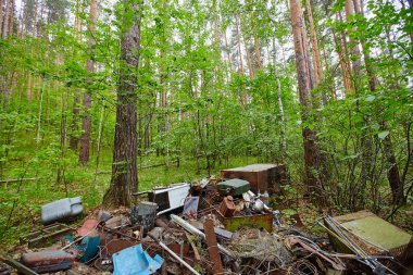 Ormanda, paslı hurda metal eski metal nesneleri dökümü. Çevresel yıkım ve kirliliği.