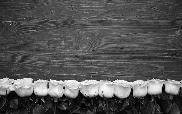 Bordure Roses Blanches Sur Fond Bois Foncé Photo Noir Blanc — Photo