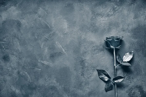 Черная Роза Лежит Темной Каменной Плите Пространство Этикеток — стоковое фото