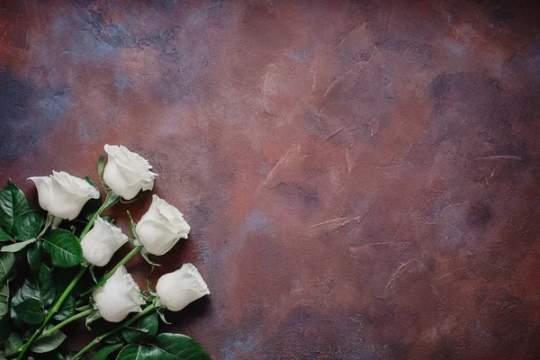 Sechs Weiße Rosen Auf Einem Schönen Steinhintergrund Platz Für Etiketten — Stockfoto