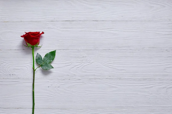 A rosa vermelha no topo da mesa de madeira. Minimalismo e espaço para texto , — Fotografia de Stock