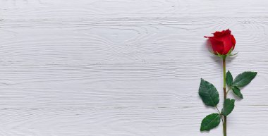 Metin için yer beyaz ahşap zemin üzerine kırmızı gül