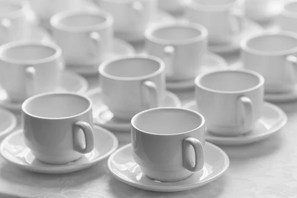 Many rows of pure white cup (Black and white).