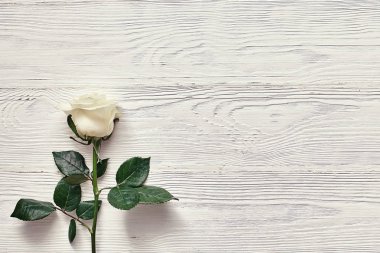 Ahşap dokulu arka plan üzerinde beyaz gül