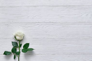 Beyaz ahşap zemin üzerine yükseldi. Bir yazıt, metin veya m