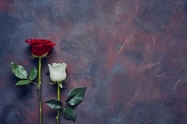 Dos rosas yacen en una losa de piedra — Foto de Stock