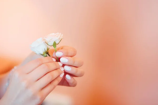 Delicate Small Roses Hands Beautiful Manicure Pink Background Soft Focus — Stock Photo, Image