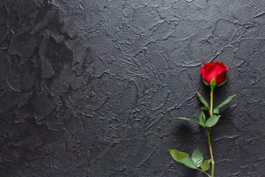 Siyah bir arka plan üzerinde kırmızı gül, taş. Taziye kartı. Boş 