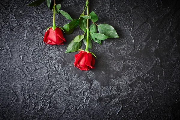 Duas rosas vermelhas num fundo de pedra negra escura. Lugar para texto — Fotografia de Stock