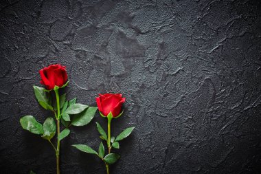 Koyu, siyah taş zemin üzerinde iki kırmızı gül. Metin için yer