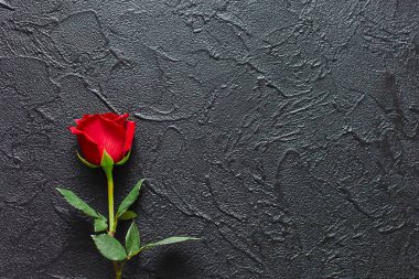 Siyah bir arka plan üzerinde kırmızı gül, taş. Taziye kartı. Boş 