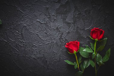 Koyu, siyah taş zemin üzerinde iki kırmızı gül. Metin için yer