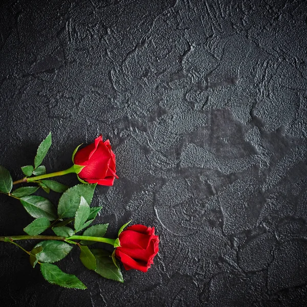 Due rose rosse su uno sfondo scuro di pietra nera. Posto per testo — Foto Stock