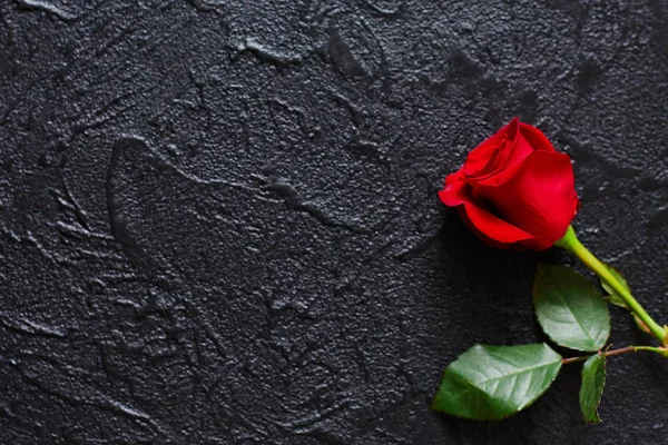 Rosa roja sobre fondo negro, piedra. Una tarjeta de condolencias. Espacio vacío para expresiones emocionales, citas o dichos. La vista desde arriba . —  Fotos de Stock