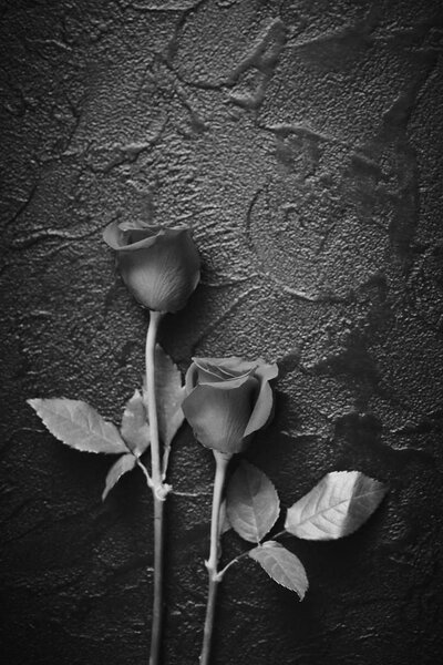 Two roses on a dark, black stone background. Place for text