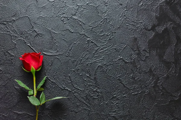 Rosa roja sobre fondo negro, piedra. Una tarjeta de condolencias. Vacía. —  Fotos de Stock