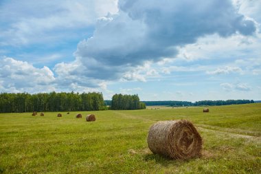 Tarım alanında haddelenmiş samanlıklar. Manzara her zamanki f