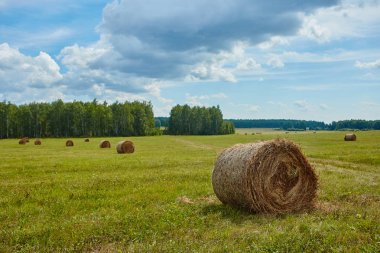 Tarım alanında haddelenmiş samanlıklar. Manzara her zamanki f