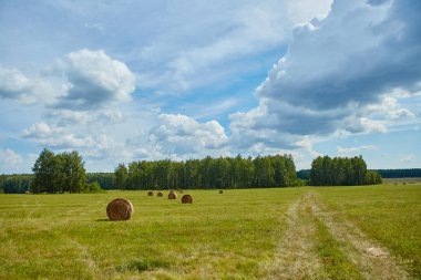 Tarım alanında haddelenmiş samanlıklar. Manzara her zamanki f