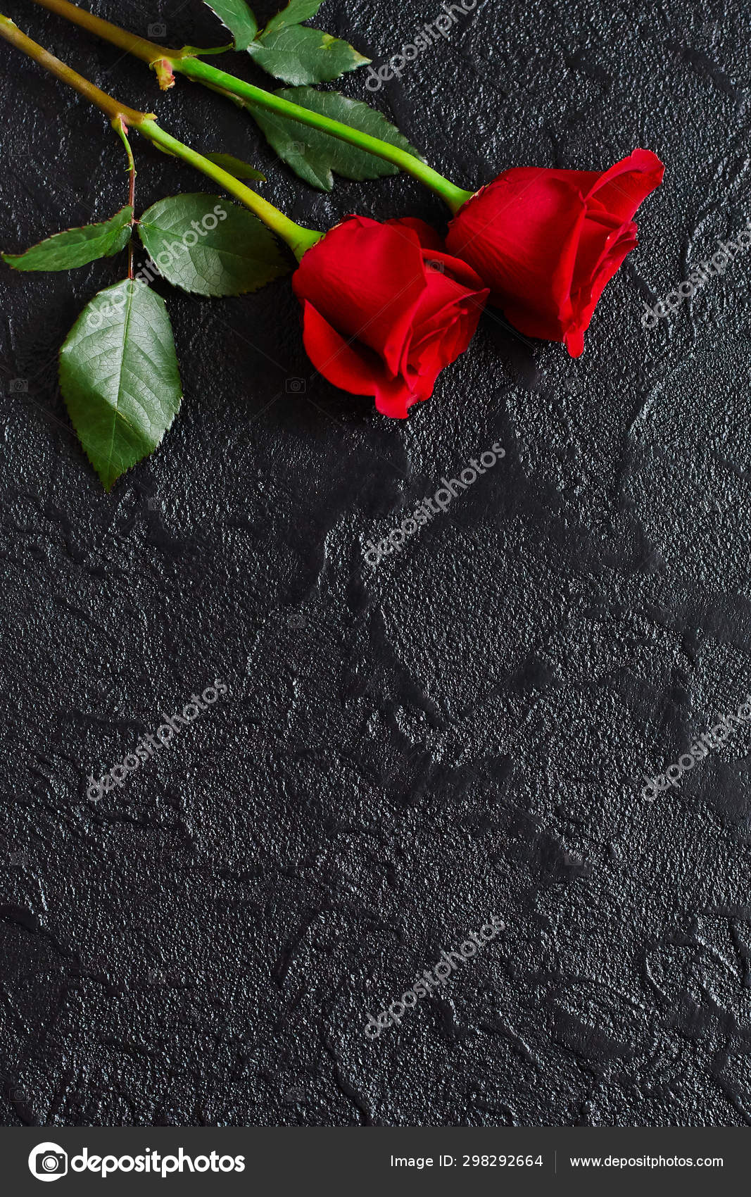 Two red roses on a dark, black stone background. Place for text Stock Photo  by ©ArtSvetlana 298292664