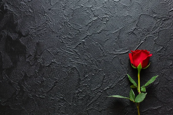 Rosa vermelha sobre um fundo preto, pedra. Um cartão de condolências. Vazio — Fotografia de Stock