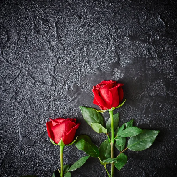 Дві червоні троянди на темному, чорному кам'яному фоні. Місце для тексту — стокове фото