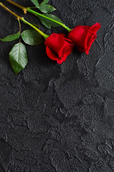Dos rosas rojas sobre un fondo oscuro de piedra negra. Lugar para el texto —  Fotos de Stock