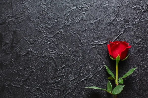 Rosa roja sobre fondo negro, piedra. Una tarjeta de condolencias. Espacio vacío para expresiones emocionales, citas o dichos. La vista desde arriba . —  Fotos de Stock