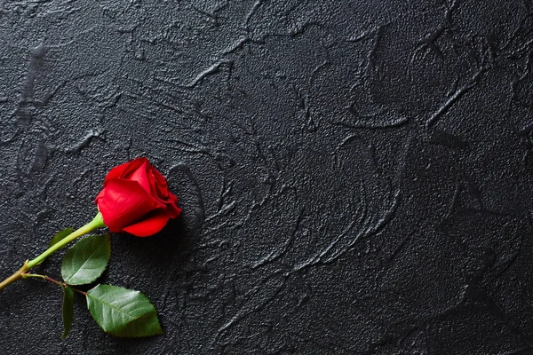 Červená růže na černém pozadí, kámen. Kondolence. Prázdné místo pro emocionální, citáty nebo řeči. Pohled shora. — Stock fotografie