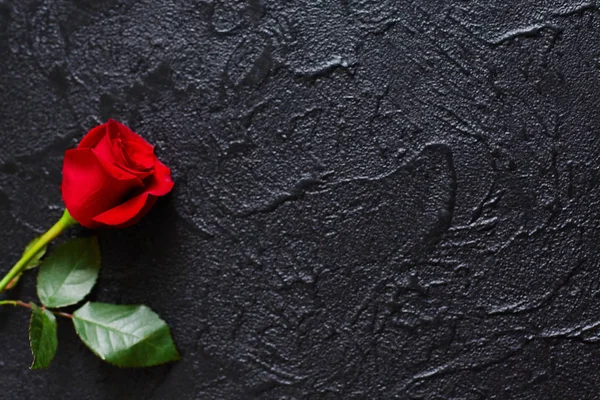 赤は黒い背景に赤いバラ、石。お悔やみカード空 — ストック写真