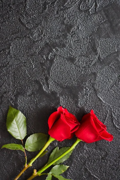 Dos rosas rojas sobre un fondo oscuro de piedra negra. Lugar para el texto —  Fotos de Stock