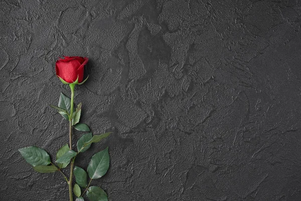 Rosas vermelhas são colocadas sobre um fundo preto texturizado. Um sinal de condolências, perda de simpatia. Espaço para o seu texto . — Fotografia de Stock