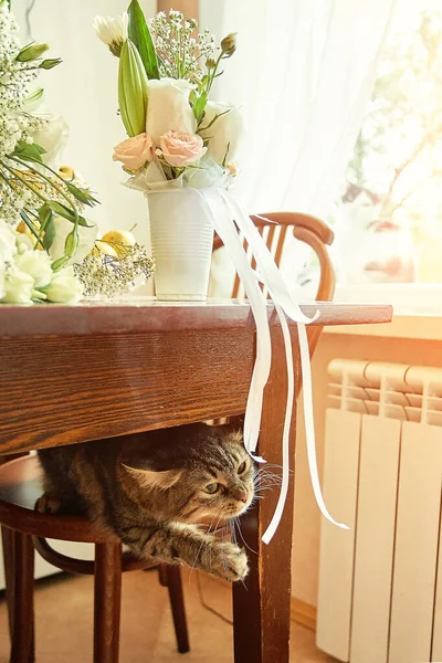 Симпатичний цікавий кіт, який грає зі стрічками з наречених весільний букет і громовий бутоньєрка — стокове фото
