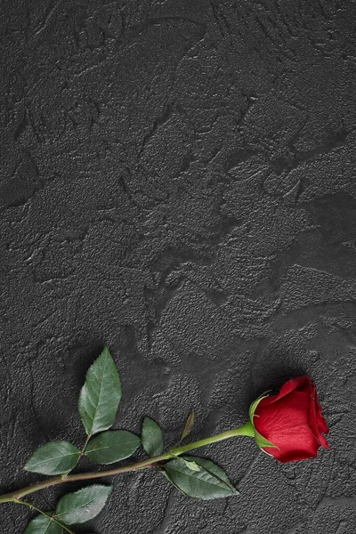 Червоні троянди розміщені на чорному текстурованому тлі. Знак співчуття, втрата симпатії. Пробіл для вашого тексту . — стокове фото