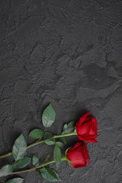 Two red roses on a dark, black textured background. Space for text. — Stock Photo, Image