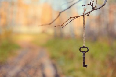 An old key hangs on a tree branch, against the background of a f